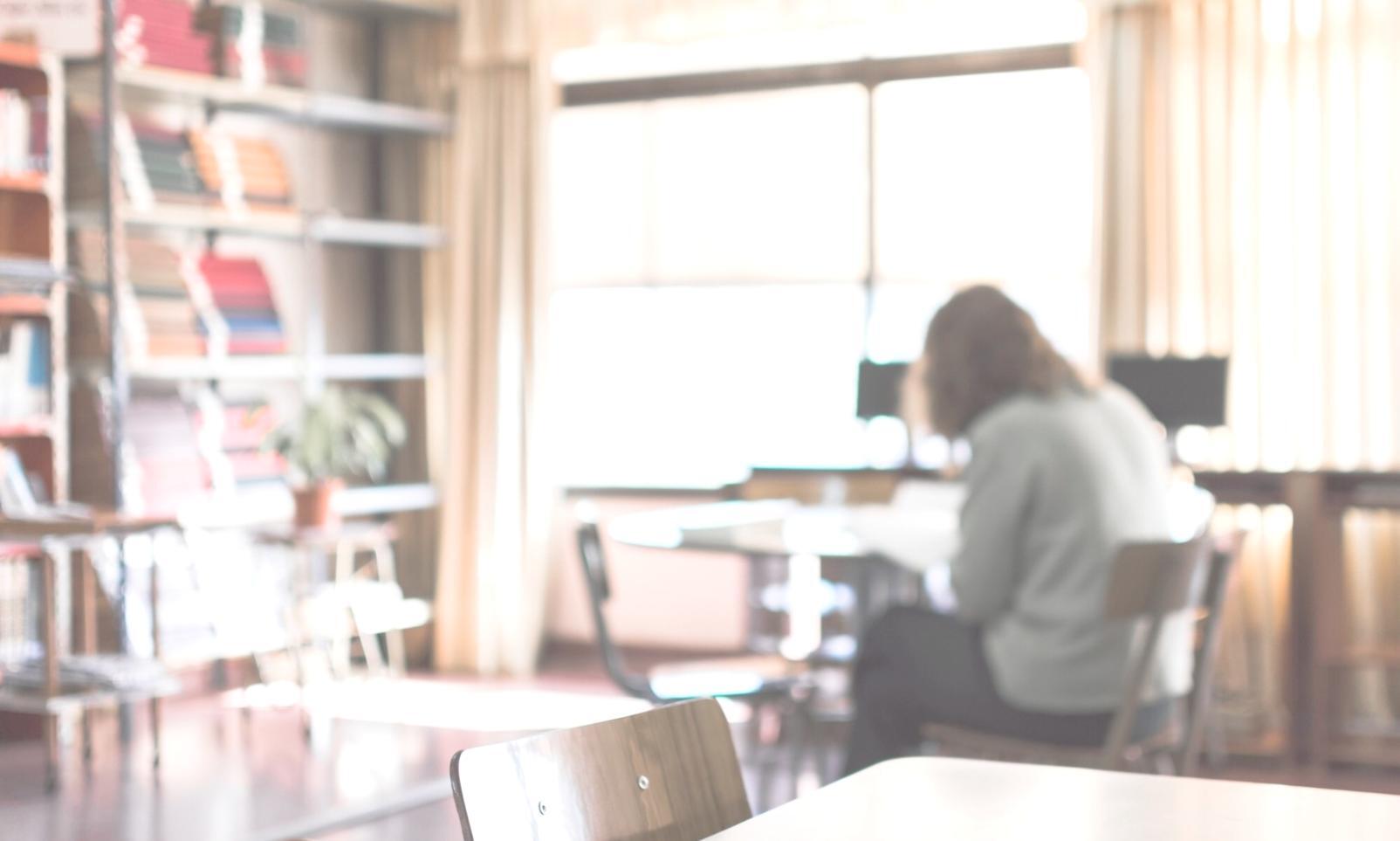 Professional system management training environment with multiple workstations